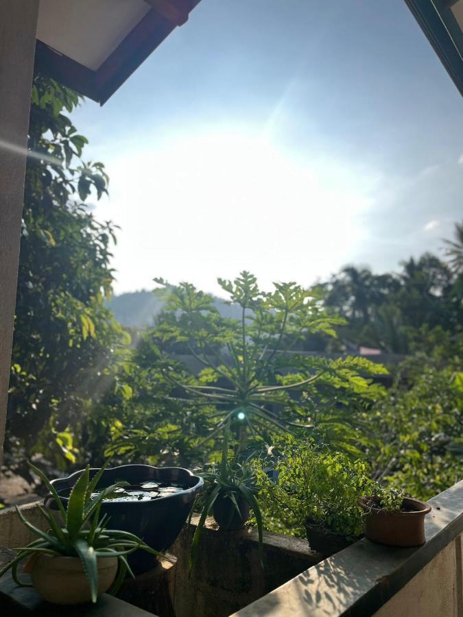 Rustic Mahaweli Apartment Kandy Bagian luar foto